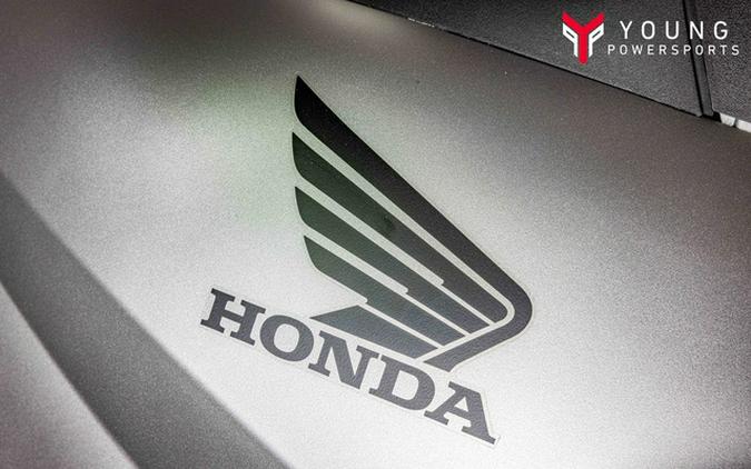 2026 Honda FourTrax Rubicon 700 4x4 Automatic Matte Silver 700 4x4 Automatic