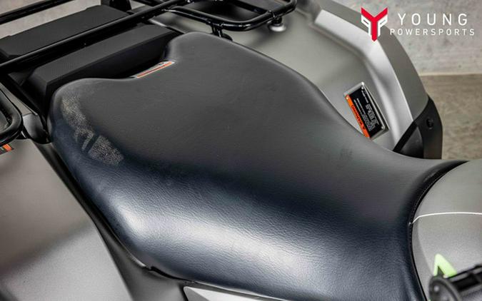 2026 Honda FourTrax Rubicon 700 4x4 Automatic Matte Silver 700 4x4 Automatic