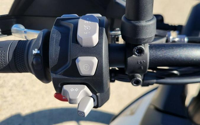 2026 Triumph Tiger 900 Alpine Edition