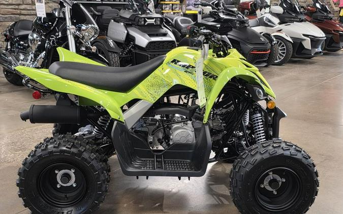 2026 Yamaha Raptor 110