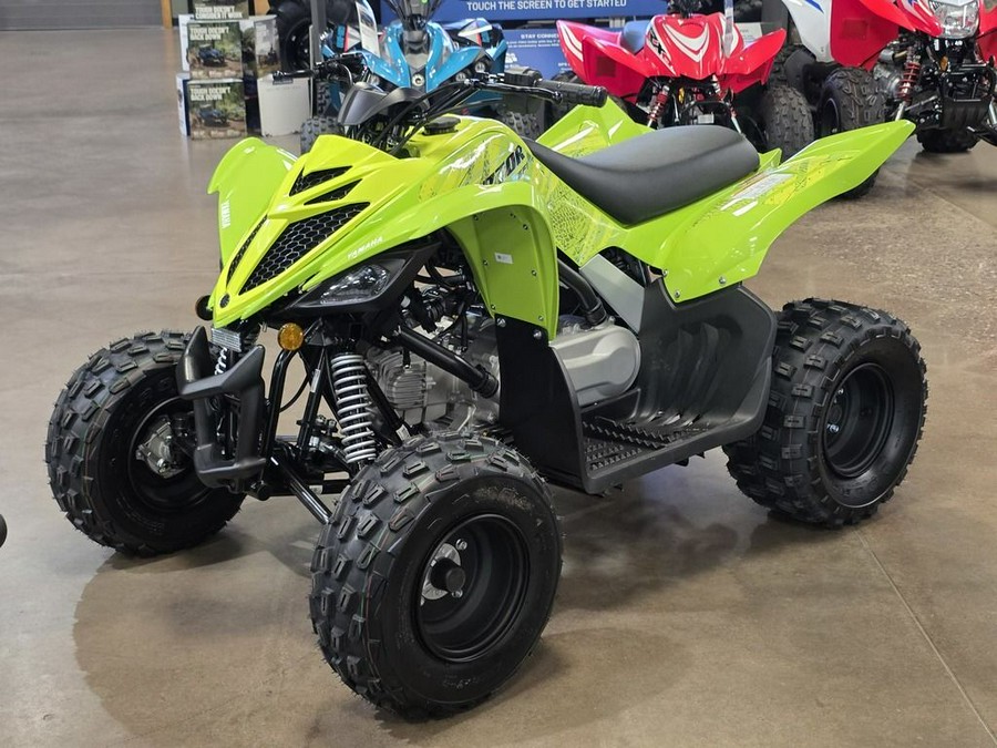 2026 Yamaha Raptor 110