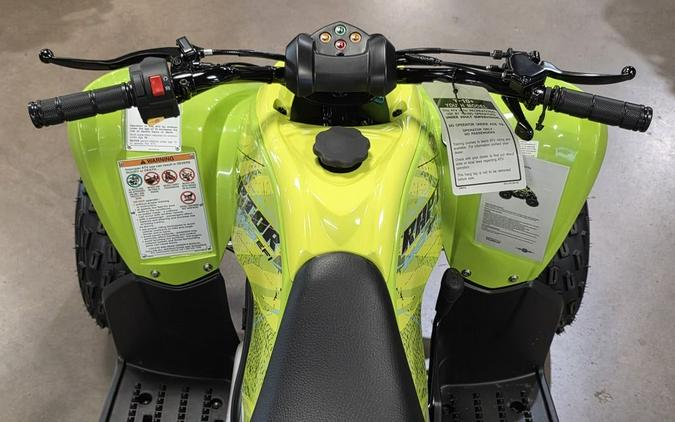 2026 Yamaha Raptor 110