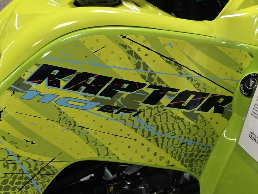 2026 Yamaha Raptor 110