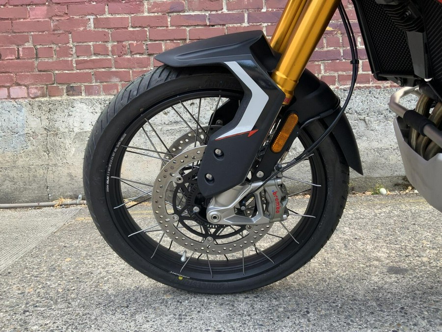 2025 Triumph TIGER 900 RALLY PRO