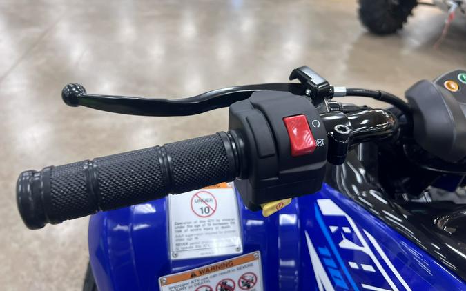 2026 Yamaha Raptor 110