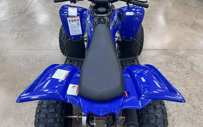 2026 Yamaha Raptor 110
