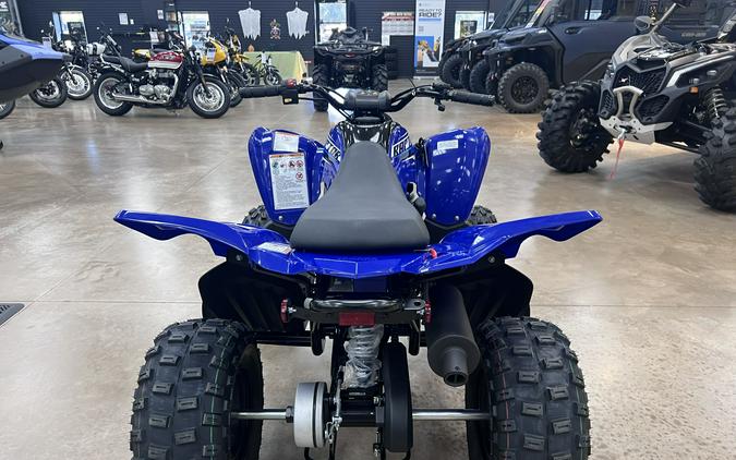2026 Yamaha Raptor 110