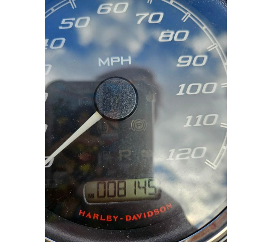 2022 Harley-Davidson Road King® Special