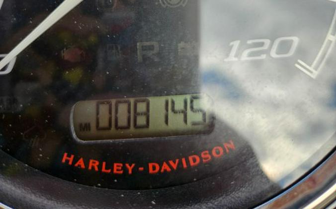 2022 Harley-Davidson Road King® Special