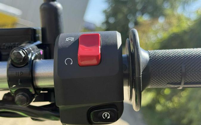 2026 Kawasaki KLX 300