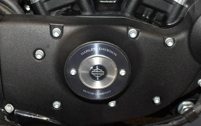 2022 Harley-Davidson Iron 883 Black Denim