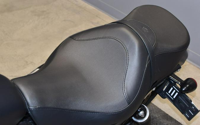 2022 Harley-Davidson Iron 883 Black Denim