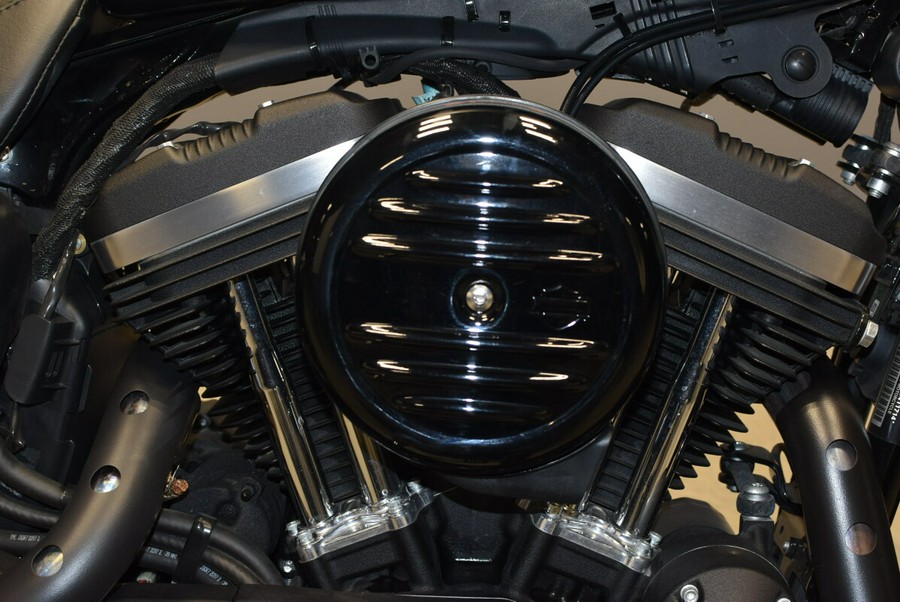 2022 Harley-Davidson Iron 883 Black Denim