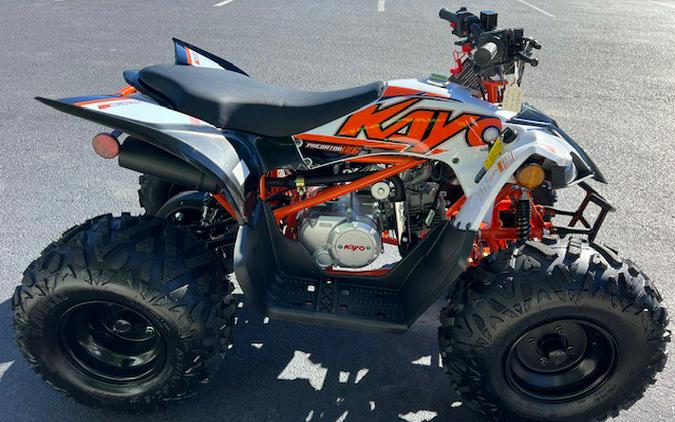 2024 Kayo Predator 125