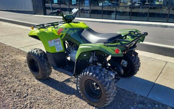 2026 Yamaha Grizzly 110