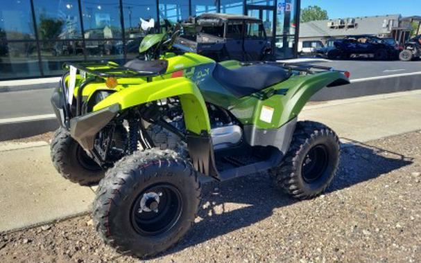 2026 Yamaha Grizzly 110