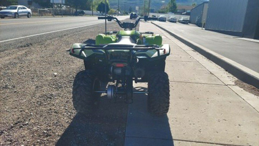 2026 Yamaha Grizzly 110