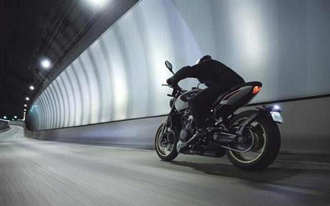 2026 Triumph Trident 800