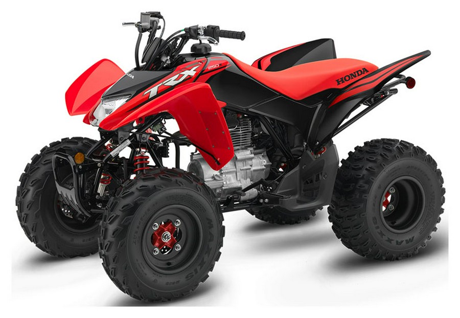 2021 Honda TRX250X