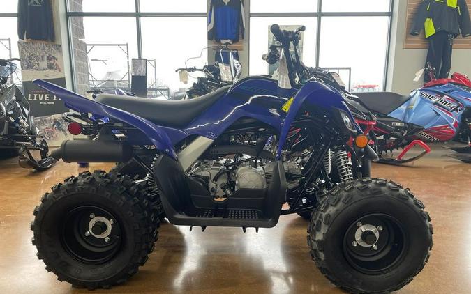 2024 Yamaha Raptor 110