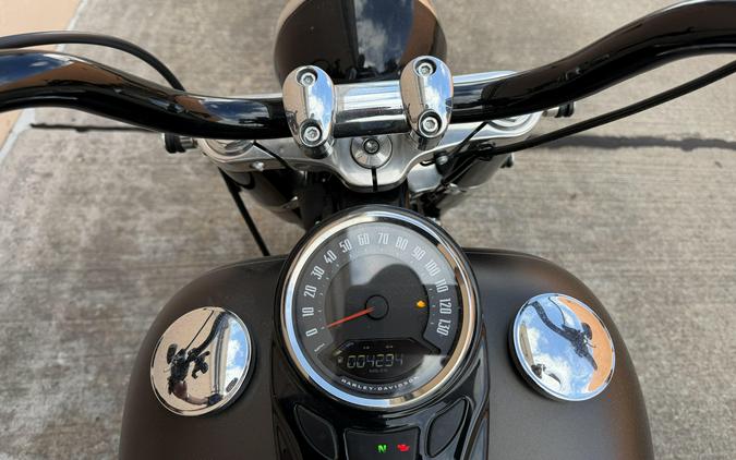 2021 Harley-Davidson SOFT TAIL SLIM