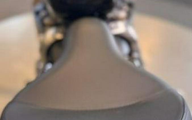 Used 2022 Triumph Bonneville