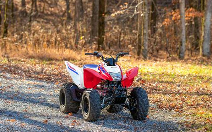 2026 Honda TRX250X