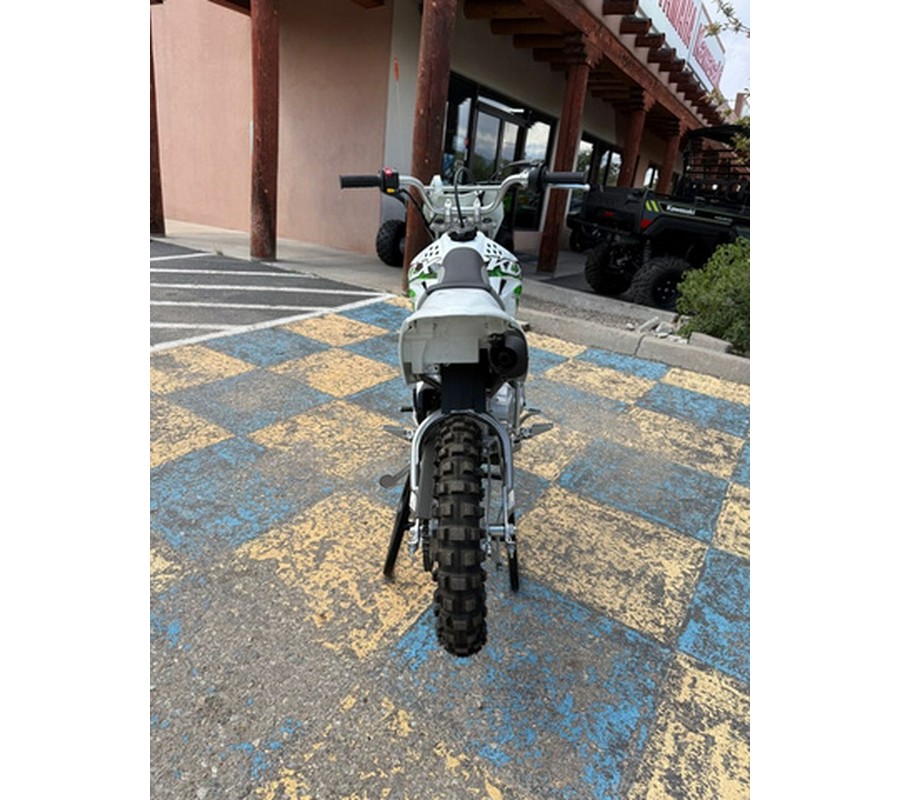 2026 Kawasaki KLX 110R