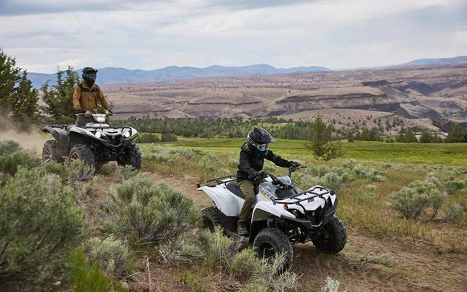 2024 Yamaha Grizzly 90