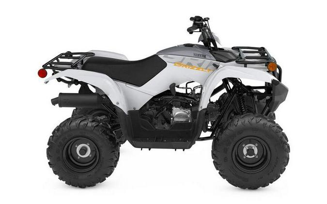 2024 Yamaha Grizzly 90