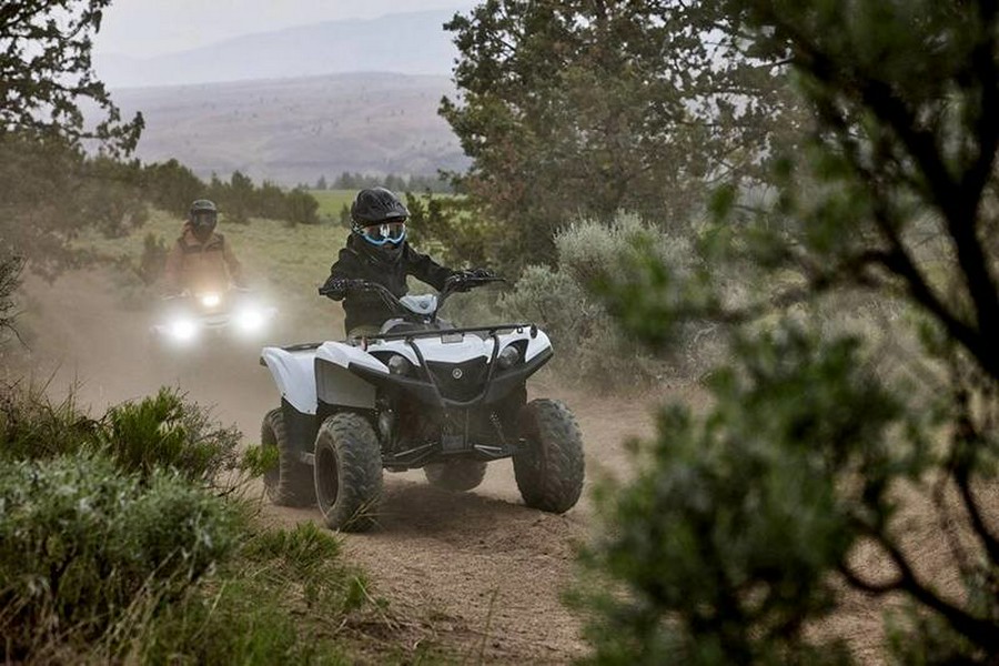 2024 Yamaha Grizzly 90