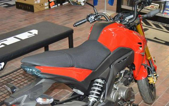 2023 Kawasaki Z125 Pro