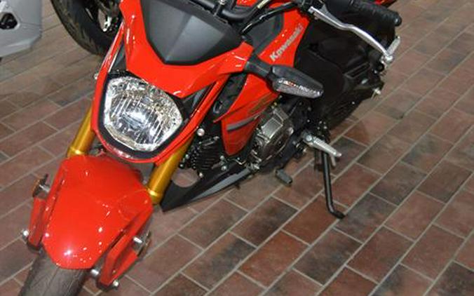 2023 Kawasaki Z125 Pro