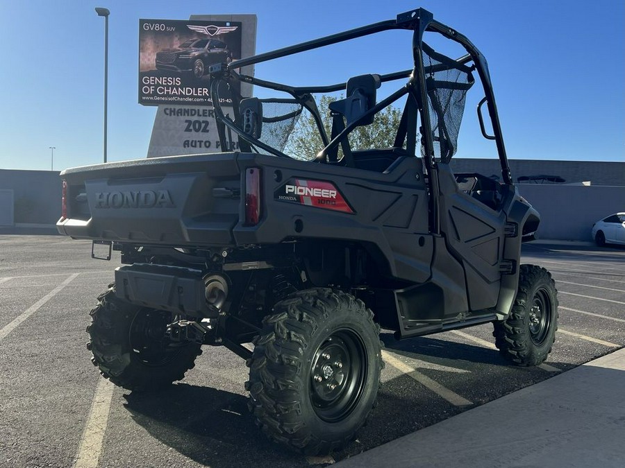 2025 Honda® Pioneer 1000