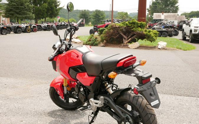 2025 Honda Grom