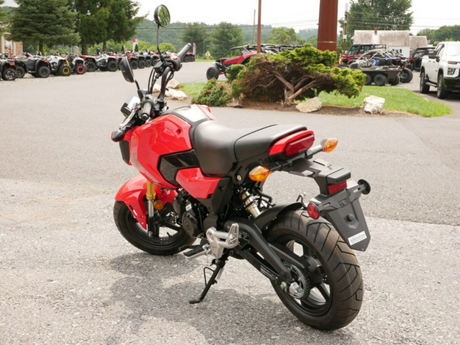 2025 Honda Grom