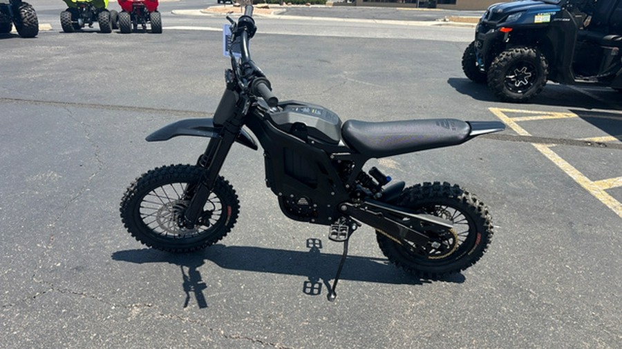 2026 ERIDE PRO MINI