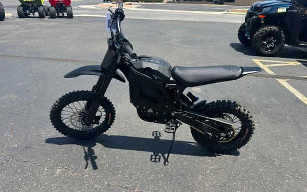 2026 ERIDE PRO MINI