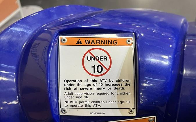 2026 Yamaha Raptor 110