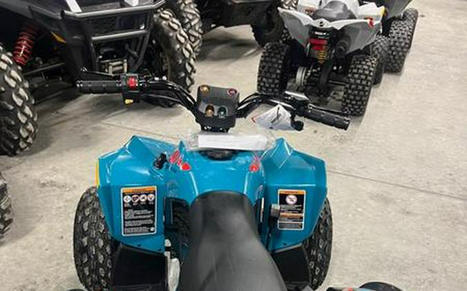 2024 Can-Am® Renegade 110 EFI