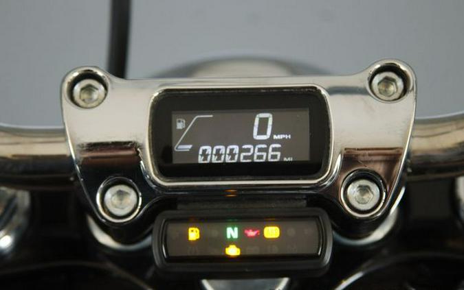 2024 Harley-Davidson Softail Standard