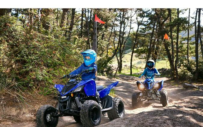 2027 Yamaha RAPTOR 110