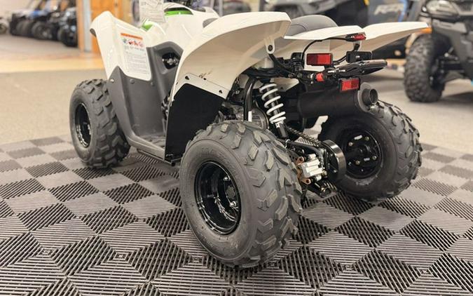 2027 Kawasaki KFX 50