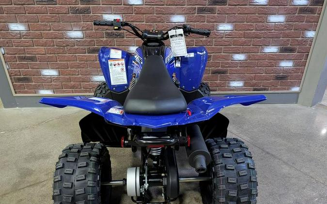 2026 Yamaha Raptor 110