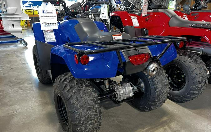 2023 Honda RECON TRX250TM1P