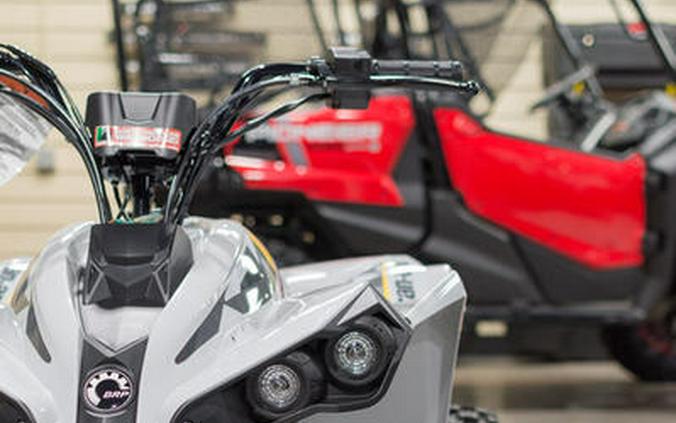 2024 Can-Am® Renegade 110 EFI