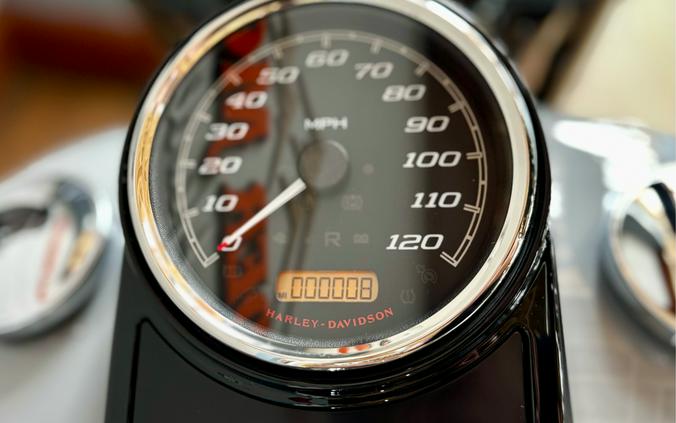 2025 Harley-Davidson Road King® Special