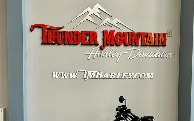 2025 Harley-Davidson Road King® Special