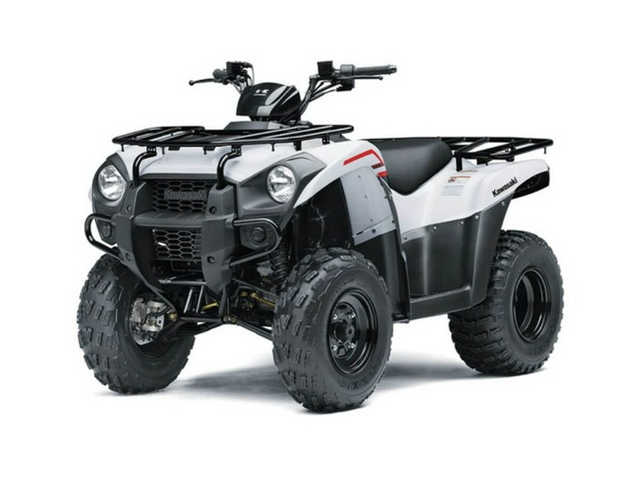 2021 Kawasaki Brute Force 300