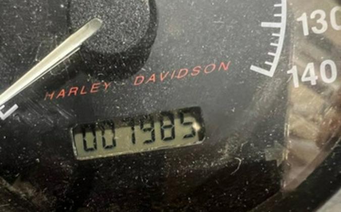 2002 Harley-Davidson VRSCA - V-Rod